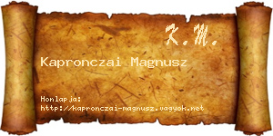 Kapronczai Magnusz névjegykártya